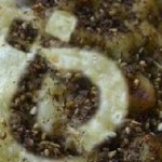 cropped-cabecera-negro.jpg