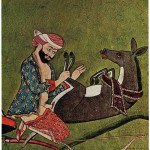 zoofilia-islam